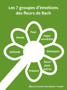 Les 7 groupes d'émotions des fleurs de Bach : solitude, doute, peur, influence, désespoir, souci, intérêt